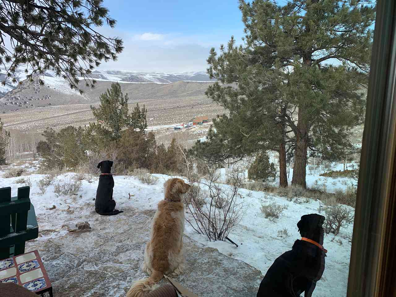 Little Cabin with a view