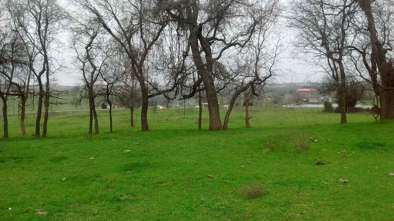 Great views of ponds and natural sources of runoff water abound!