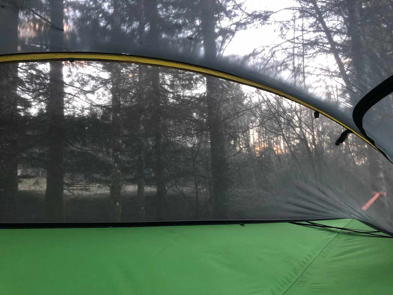 View from inside the tree tent.