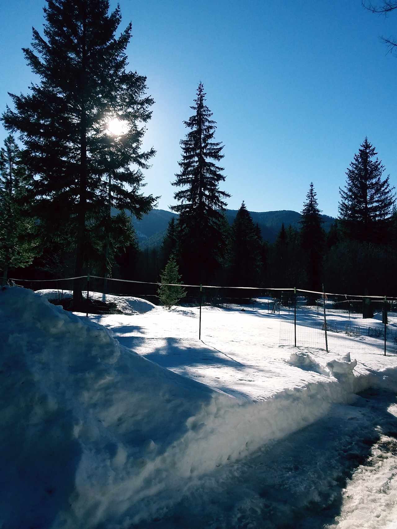 Our garden at rest... come summer this will be full of potato plants!