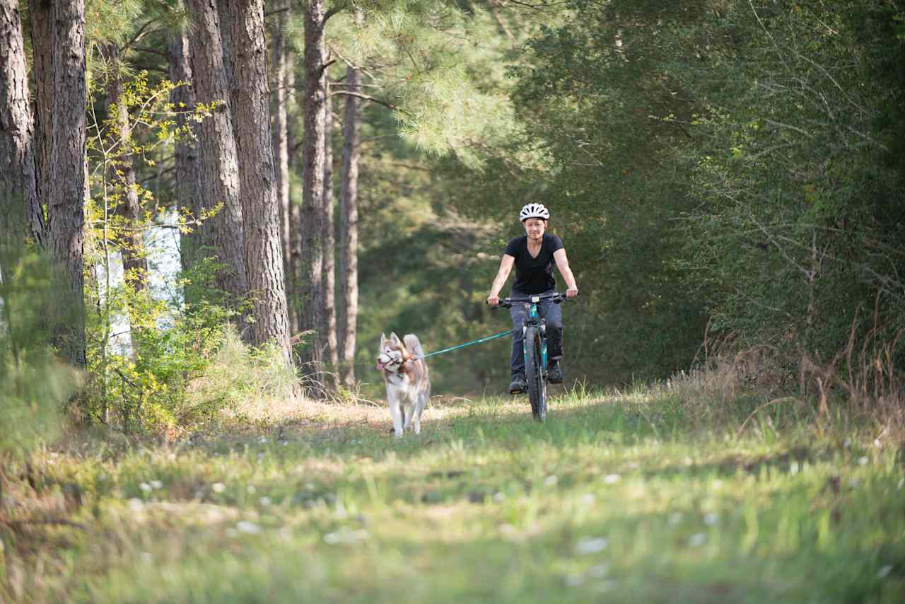 There were so many perfect trails for biking!