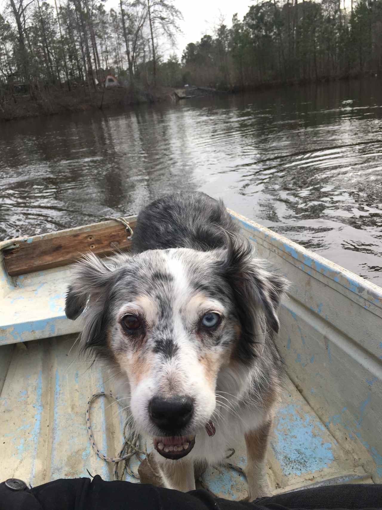 We on a boat