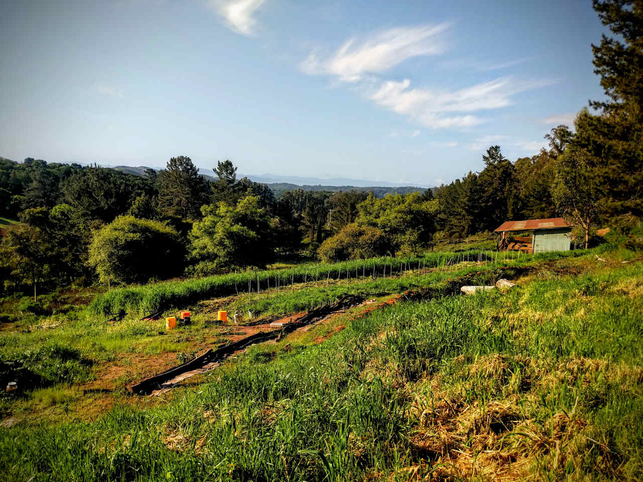 The breathtaking view from the hillside.