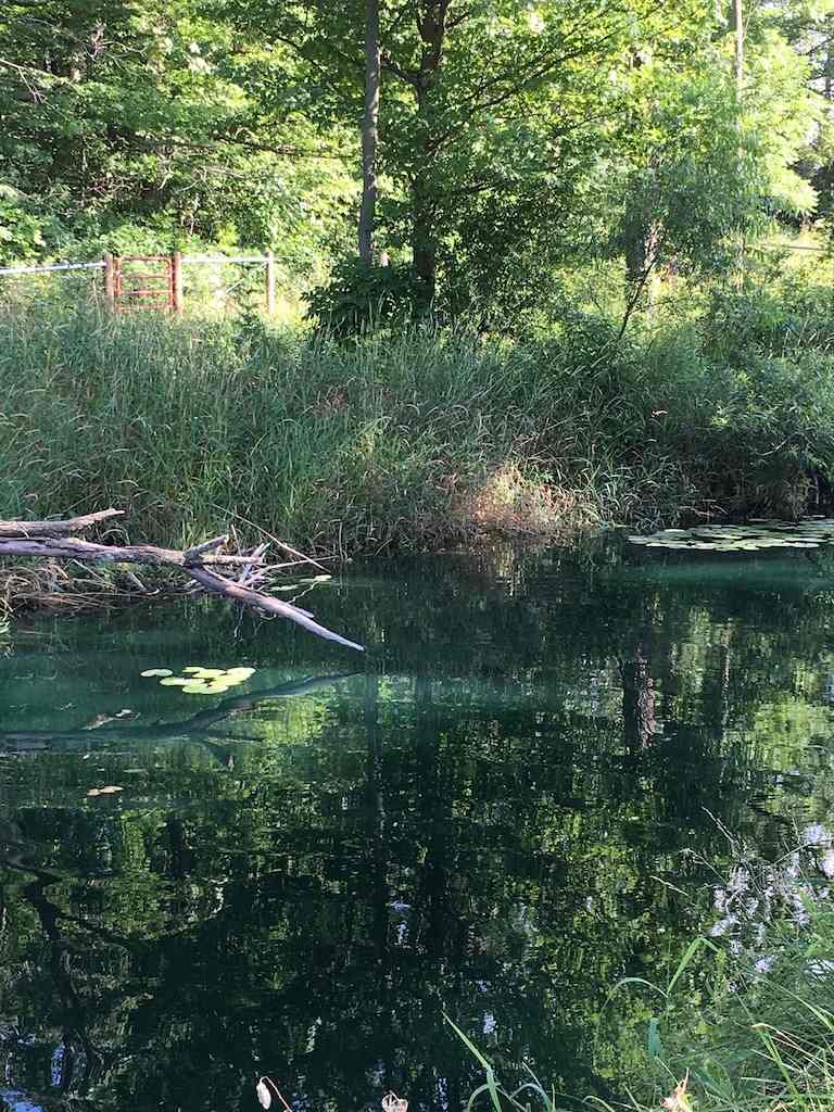 Channel between the two pond basins.  