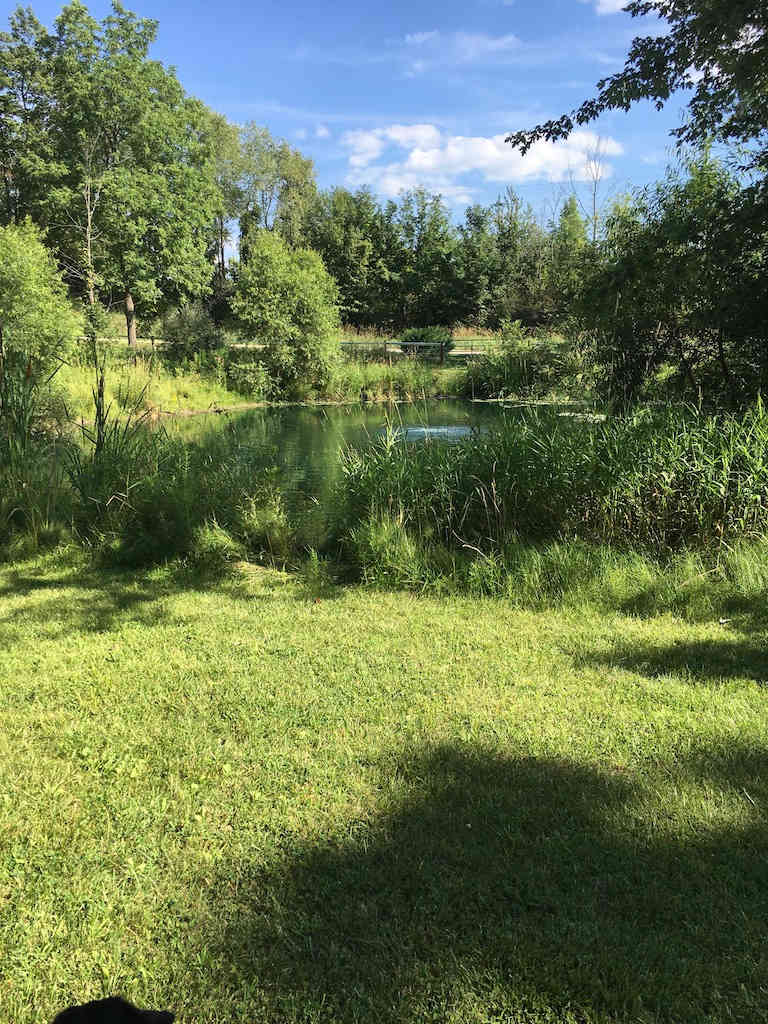 The smaller pond basin.  