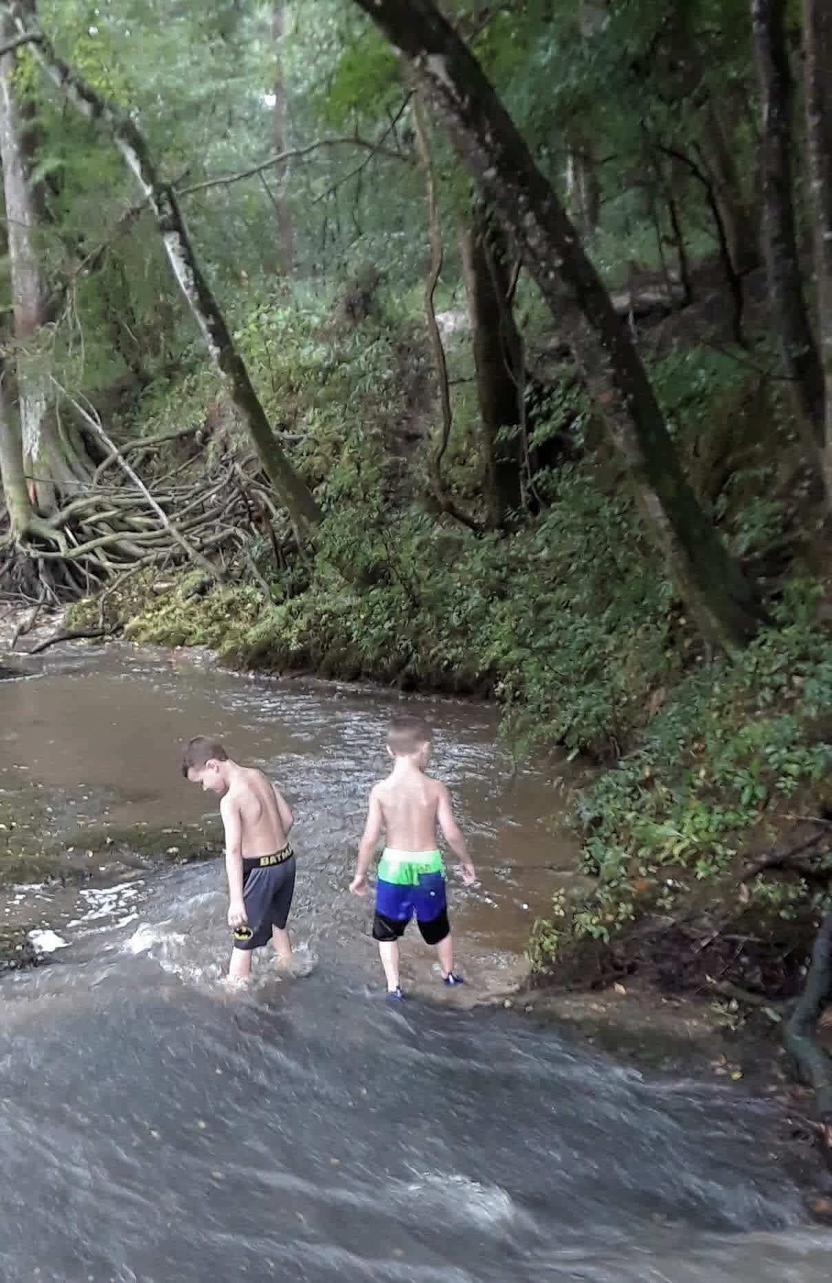 Kisatchie Bayou Campground