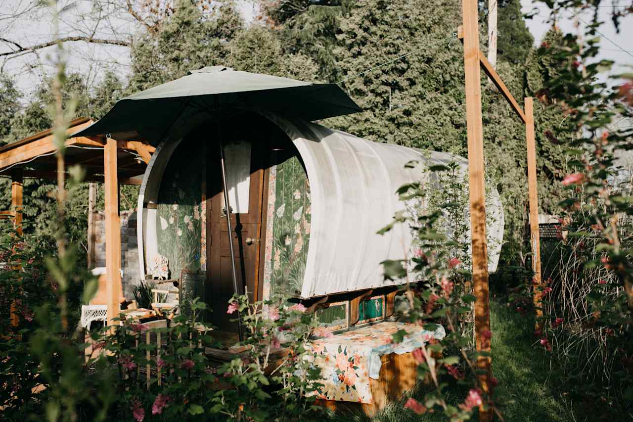 The caravan bathing in the warm sunlight