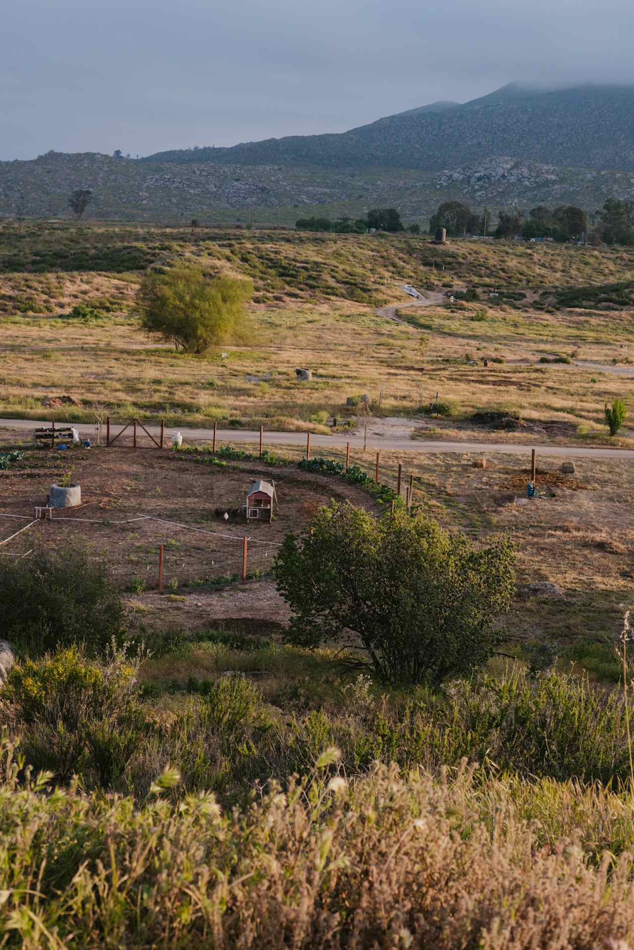 View of the garden from the hill. 