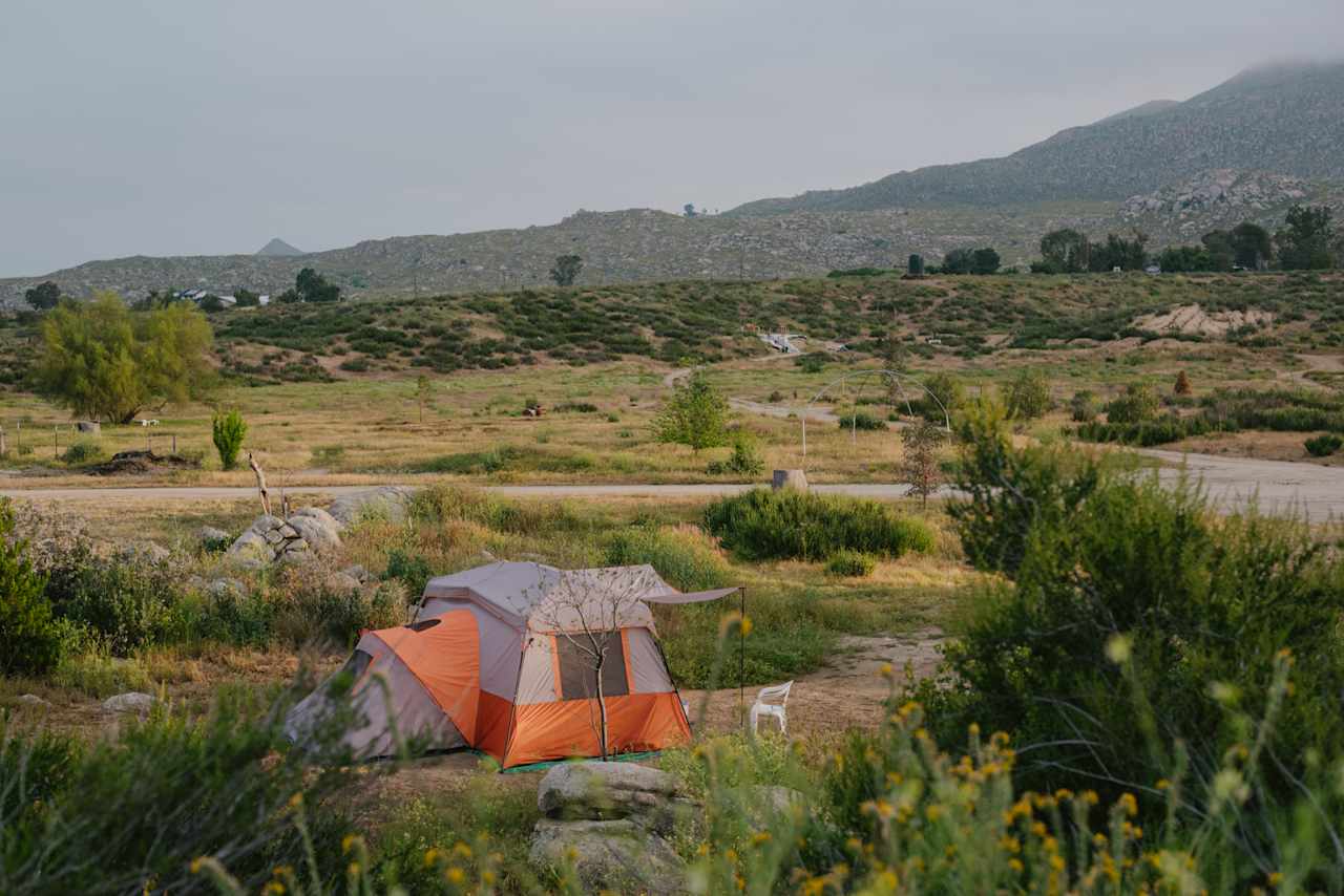 Another tent site on the other side of the garden. 