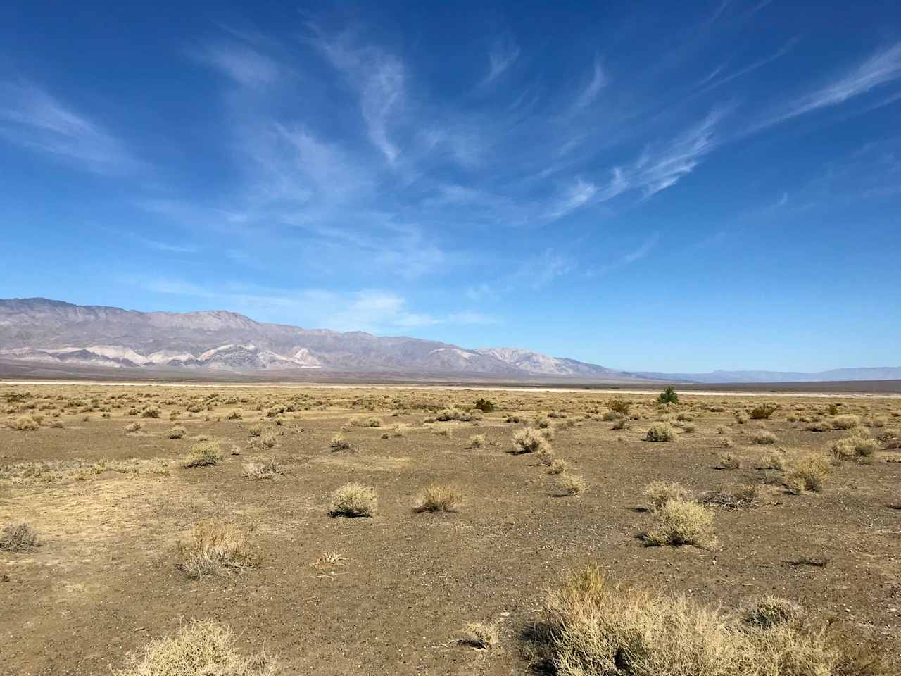 Take in the vastness of the desert