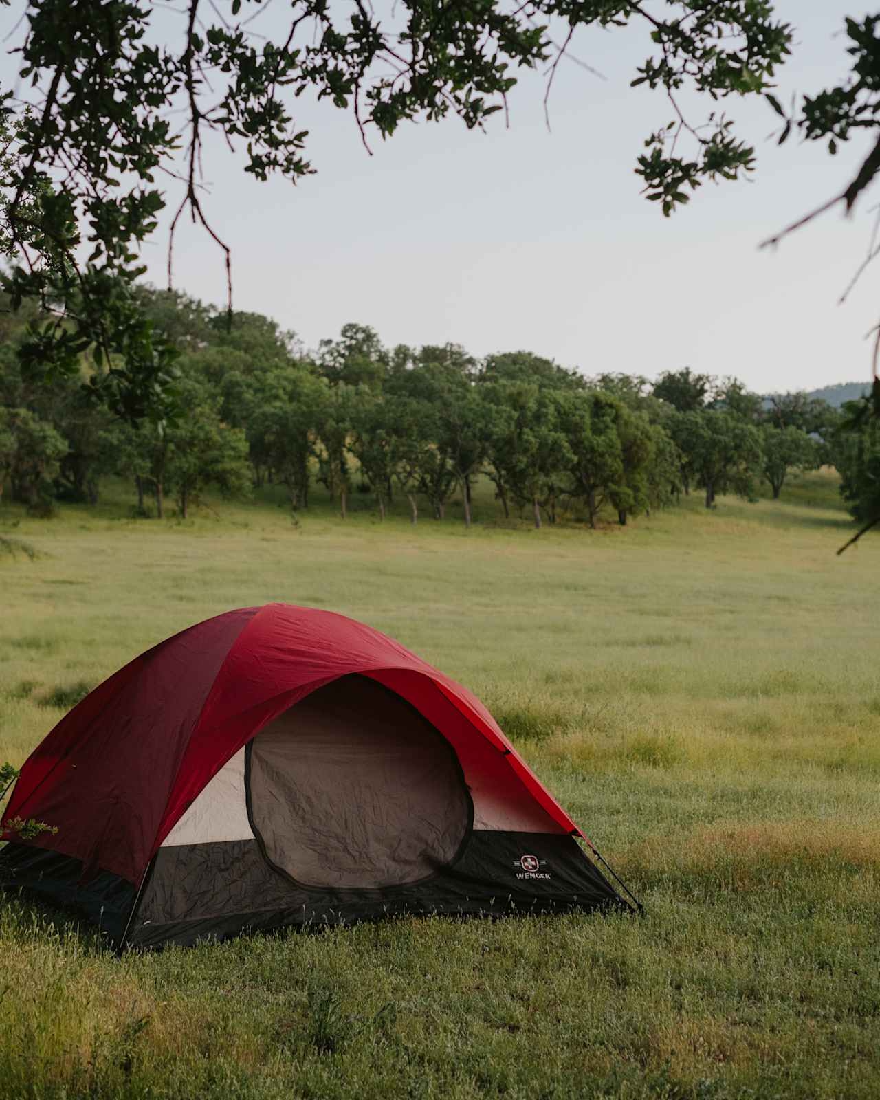 Tent spot all set up!