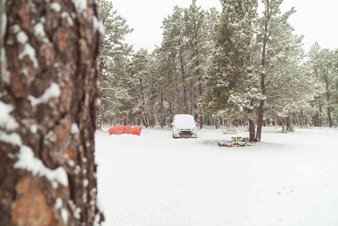 So many trees to hammock on... or play hide and seek behind!