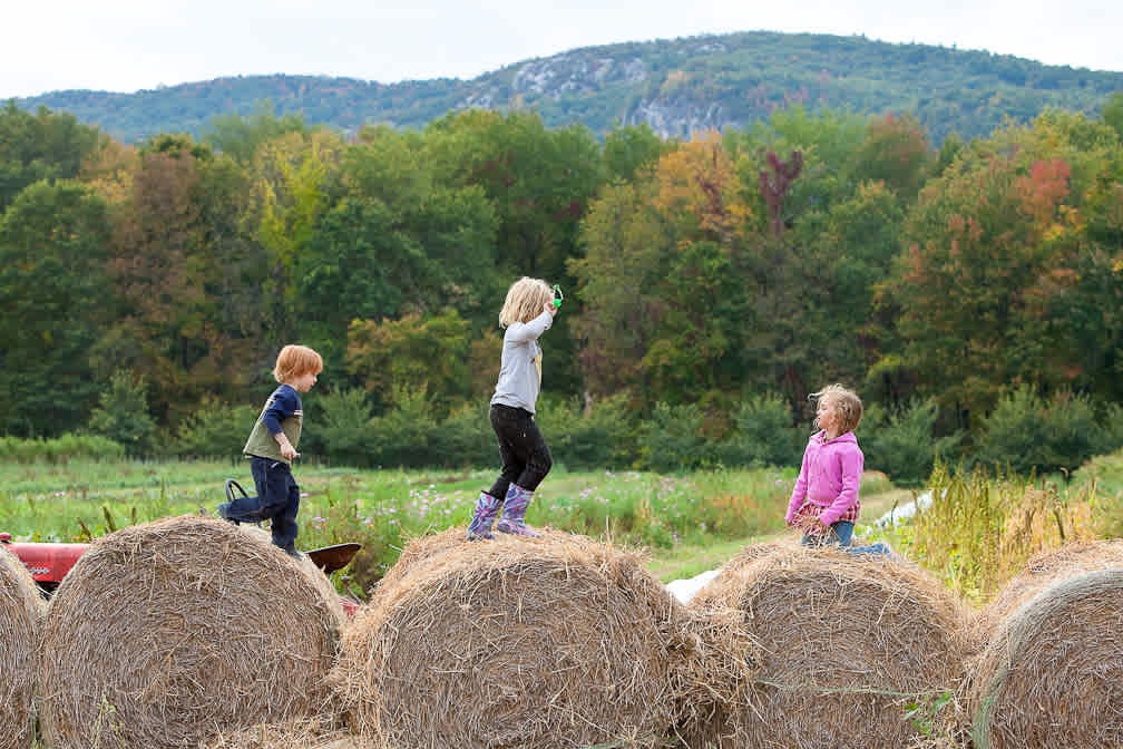 we have never met a kid who didnt love Bradley Farm