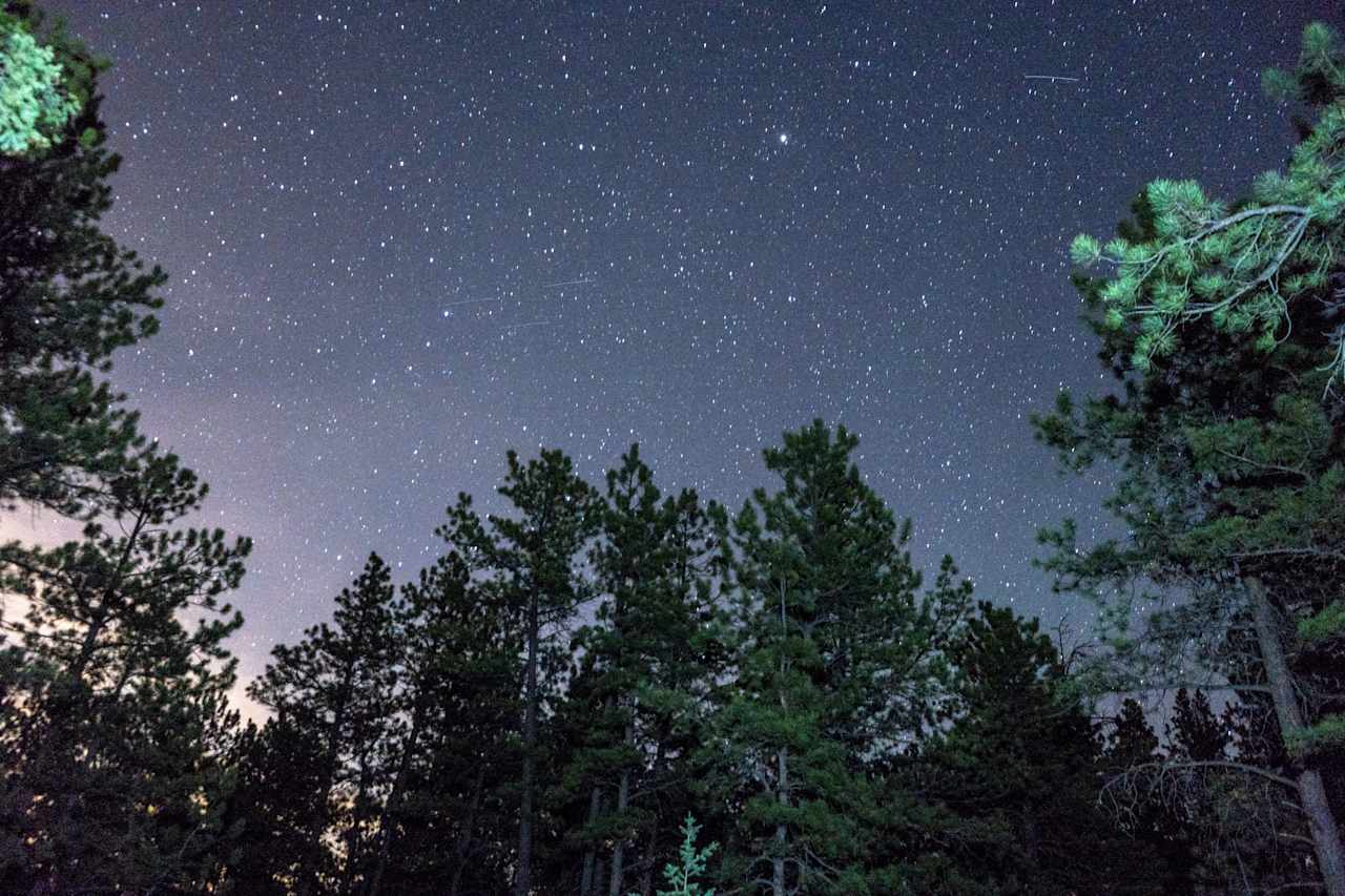 This was the view about 20 feet from the Cabin of the night sky