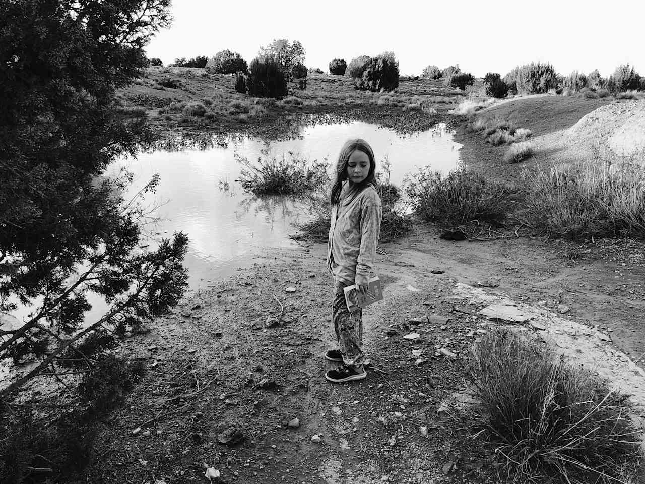 The wash on the property. It is dry most of the year, but during the rainy season you'll see water in it.