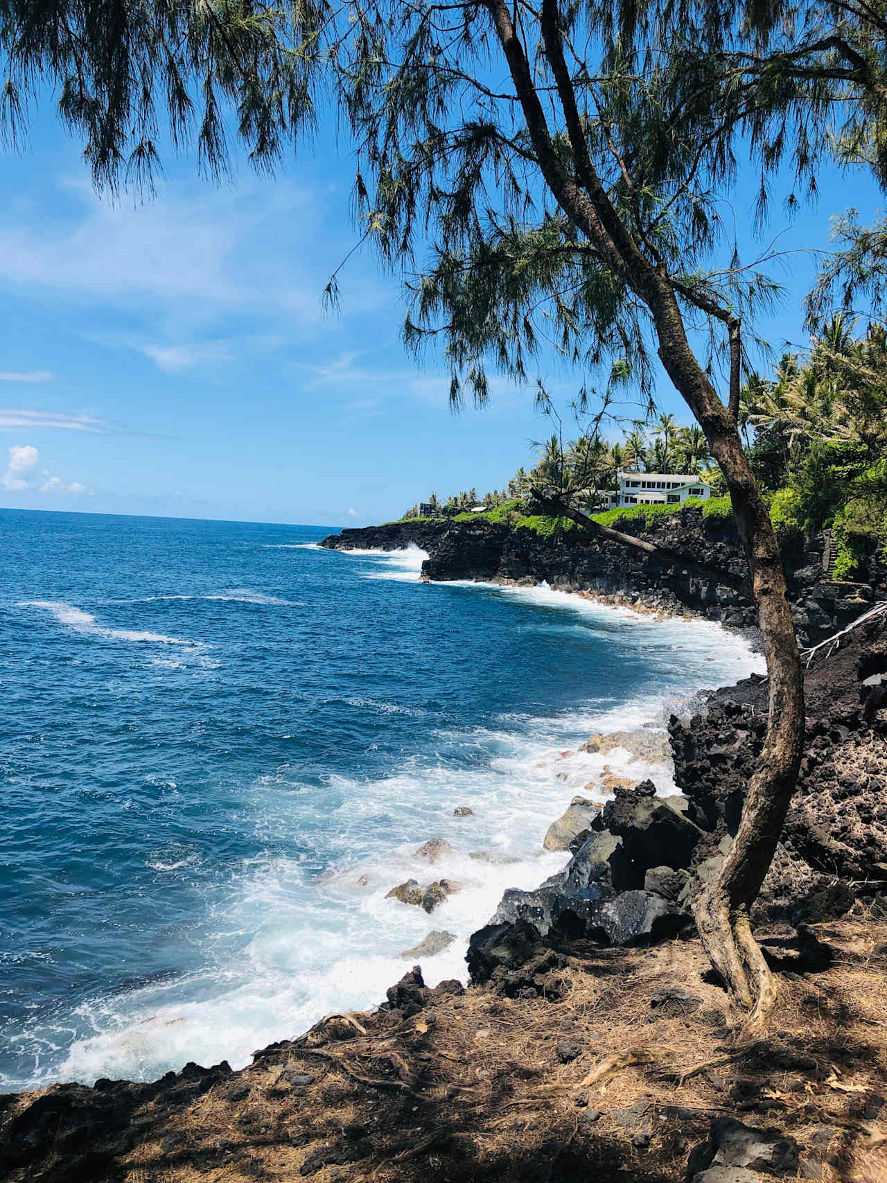 A beach  15 minutes drive from the orchid farm