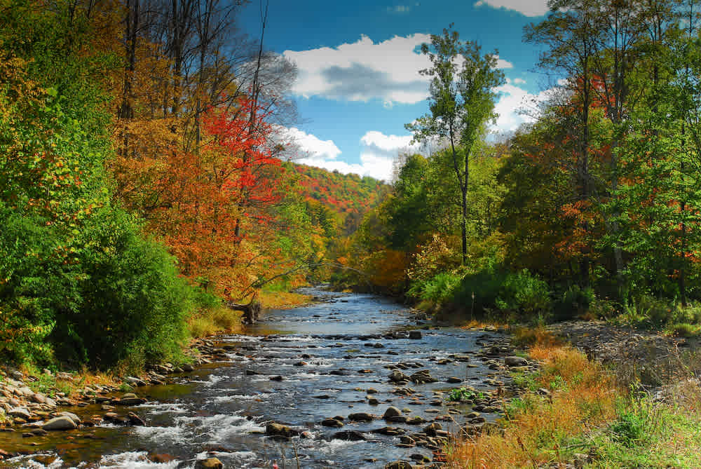 Upper Esopus Creekside Camp - View of creek directly in front of camp