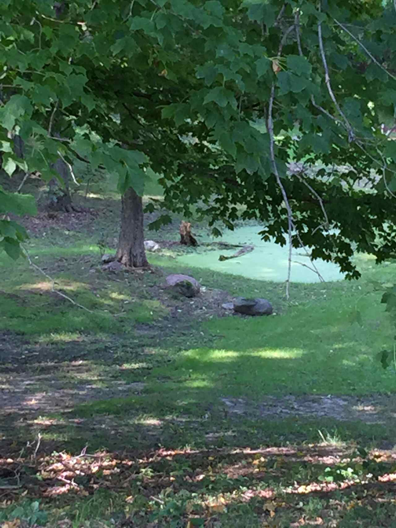 The Boonies camping