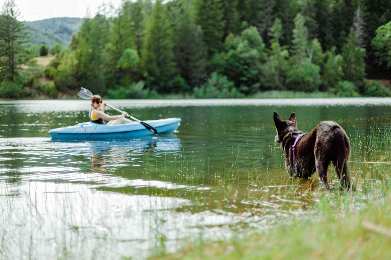 "Get back here, human."