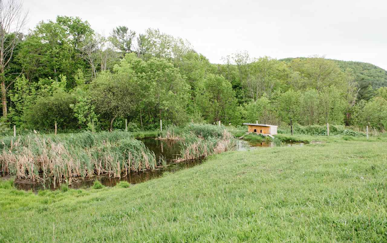 Small pond with a duck hut on the property. 