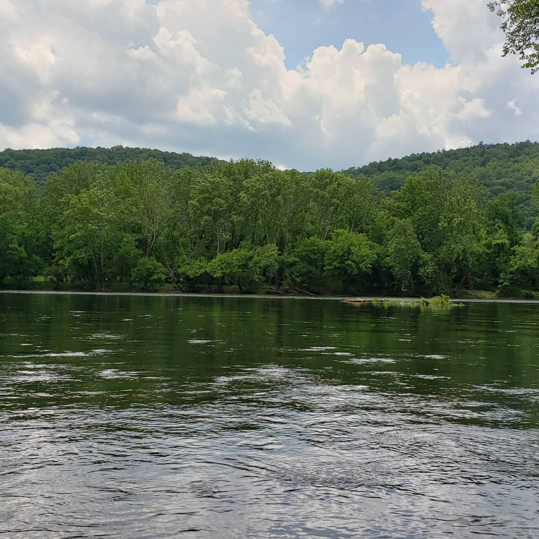 Shanklin's Ferry Campground