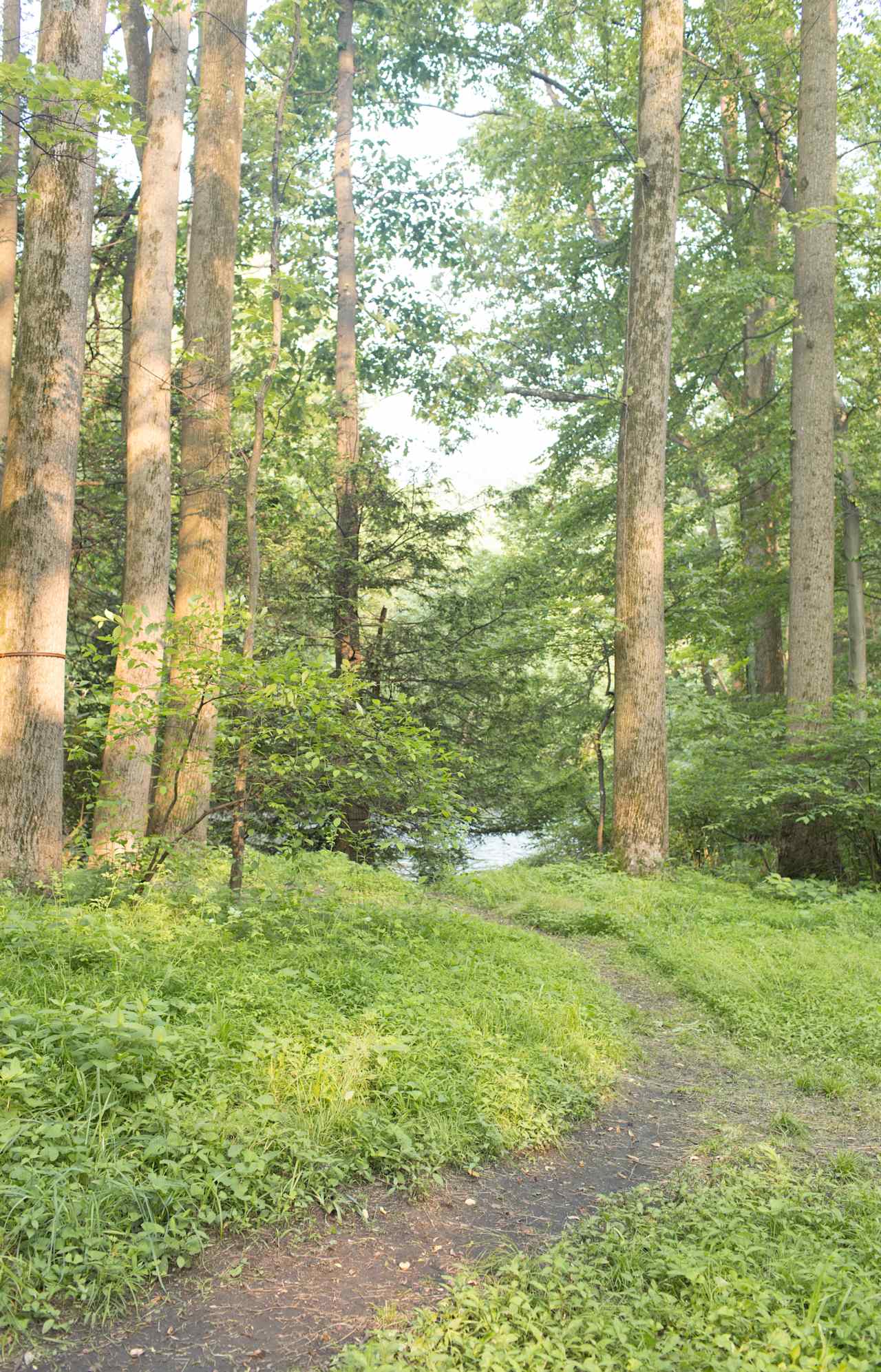 The path to the large swimming hole just behind camping site 1.