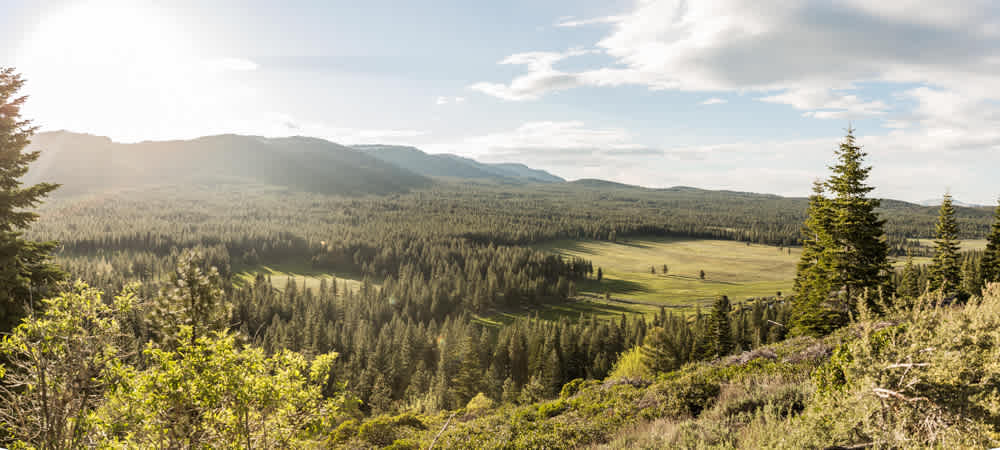 Alpine Valley /|\ Tahoe-Toiyabe NFs