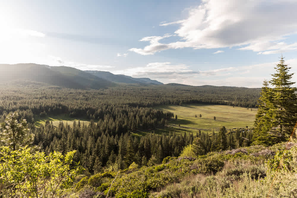 Alpine Valley /|\ Tahoe-Toiyabe NFs