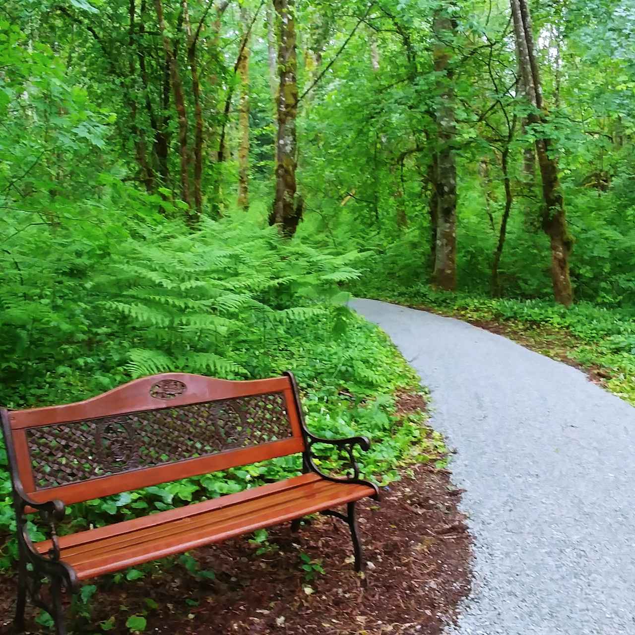 We have park benches throughout the property to sit and take in nature.