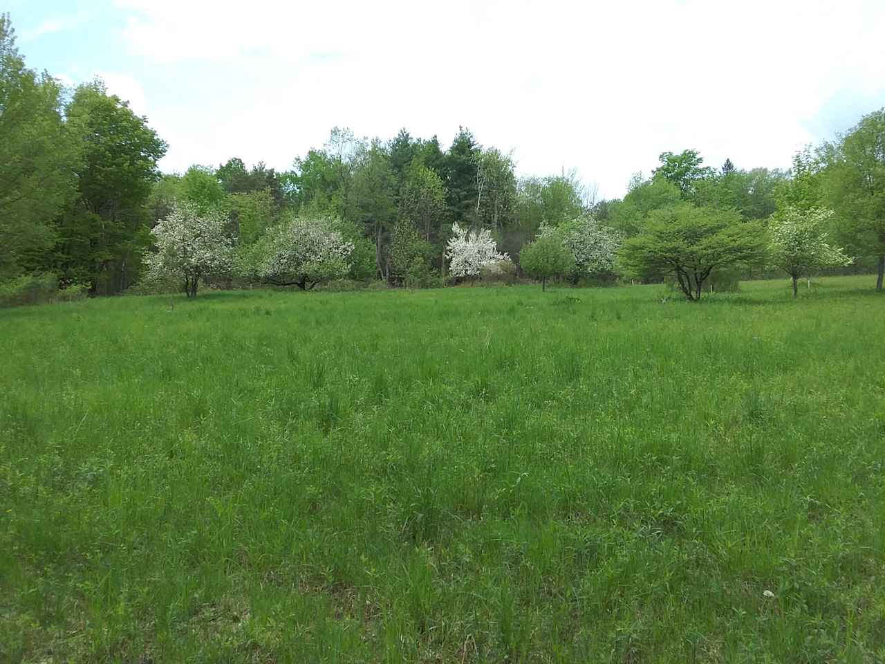 Hidden Meadow Camping