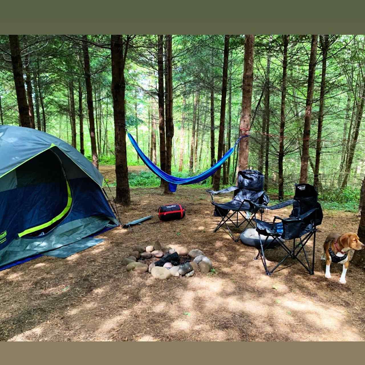 Grey Owl Hollow
