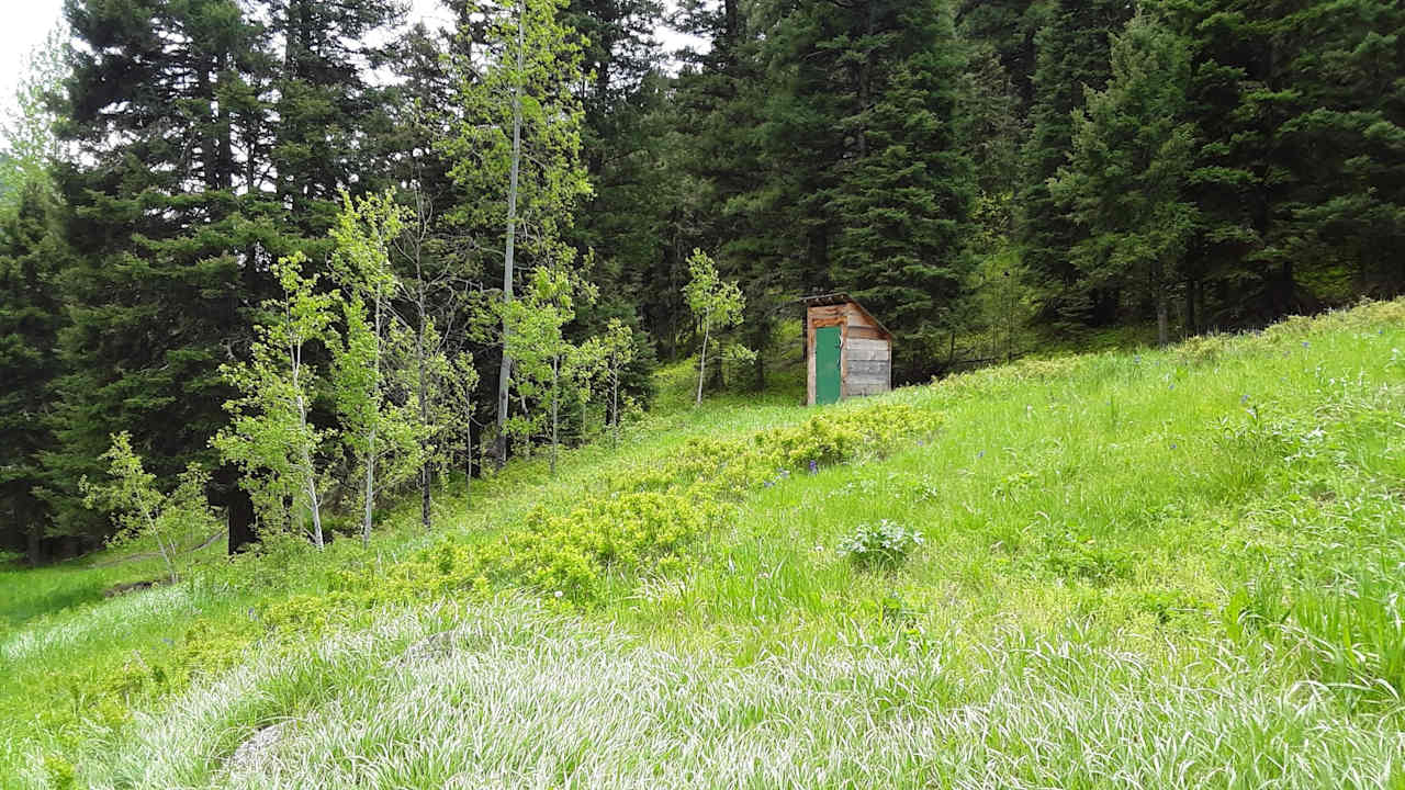 Outhouse at cabin