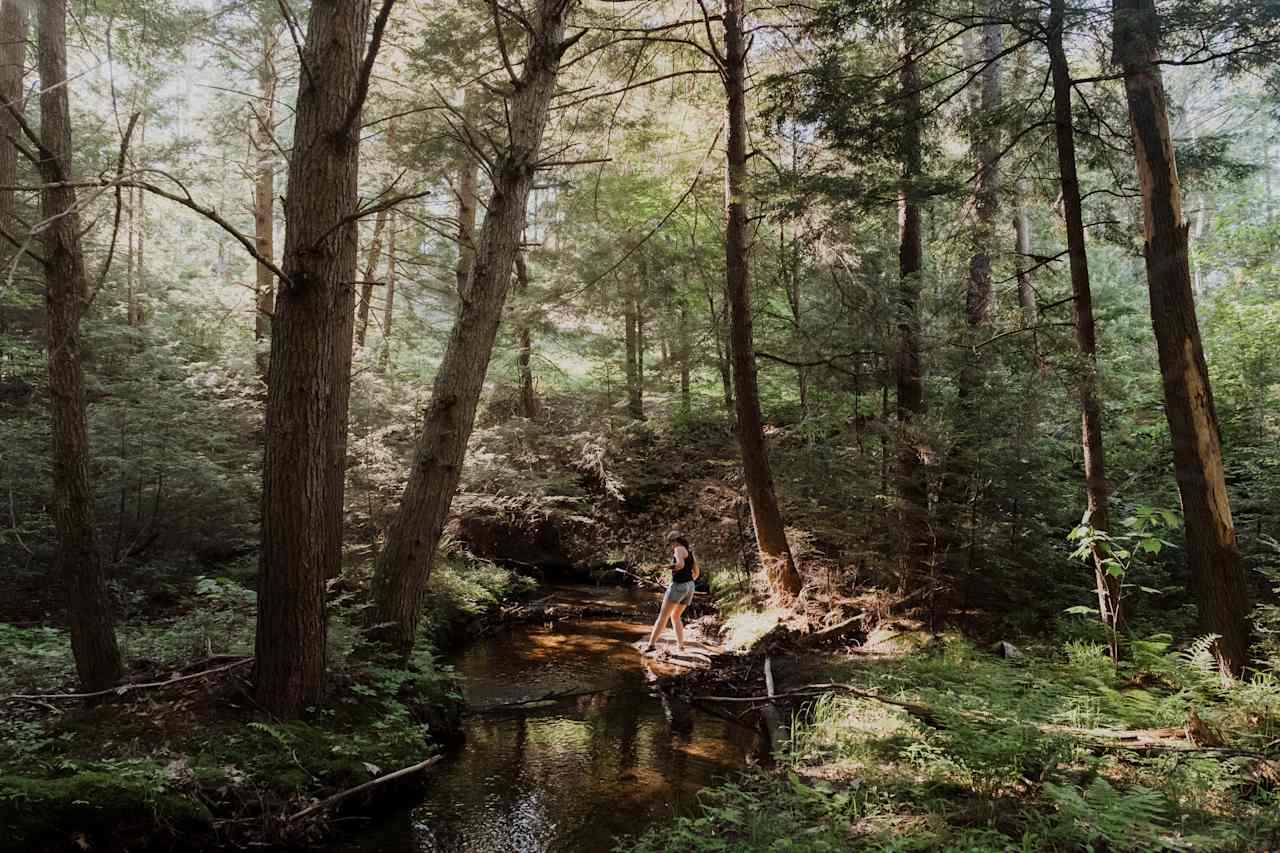 Magical little creek runs through just below the site. Nice and sandy too! 