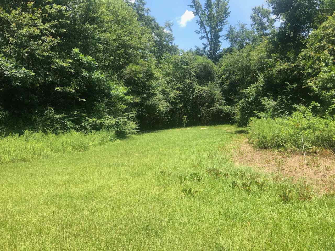 Site 3. Drive your car to this site on the edge of our pasture. It's easily accessible but still quite private. Level and grassy for comfortable camping!