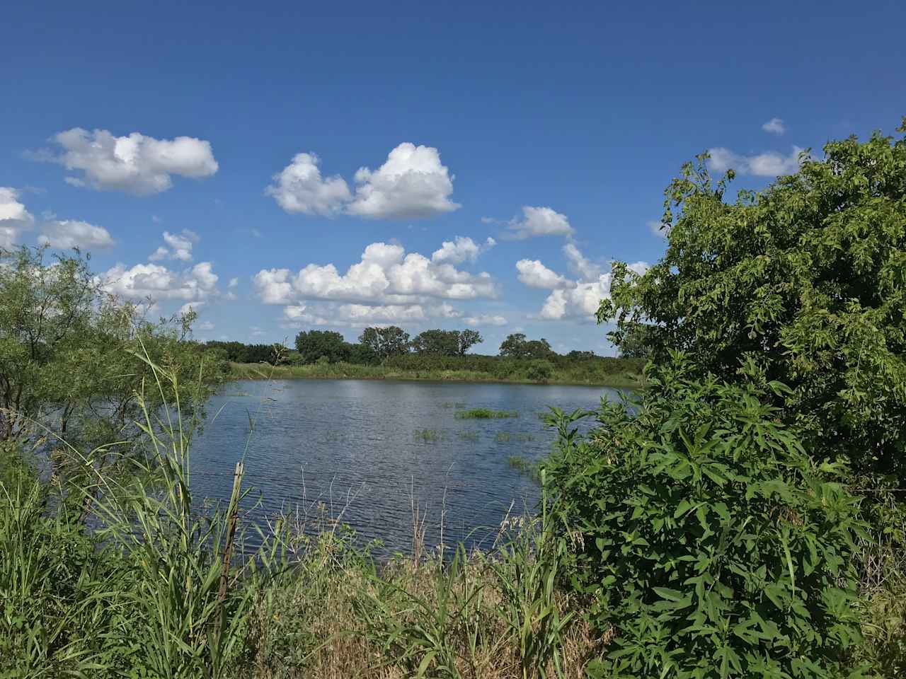 View of pond from property (no access)