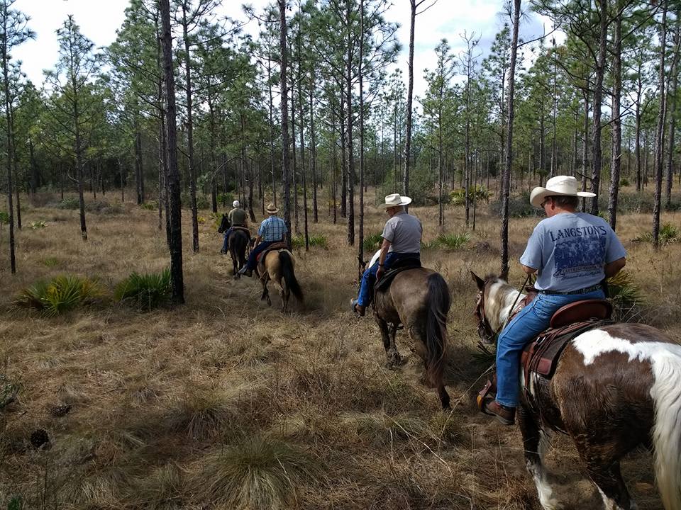 Black Horse Resort Ranch Campground