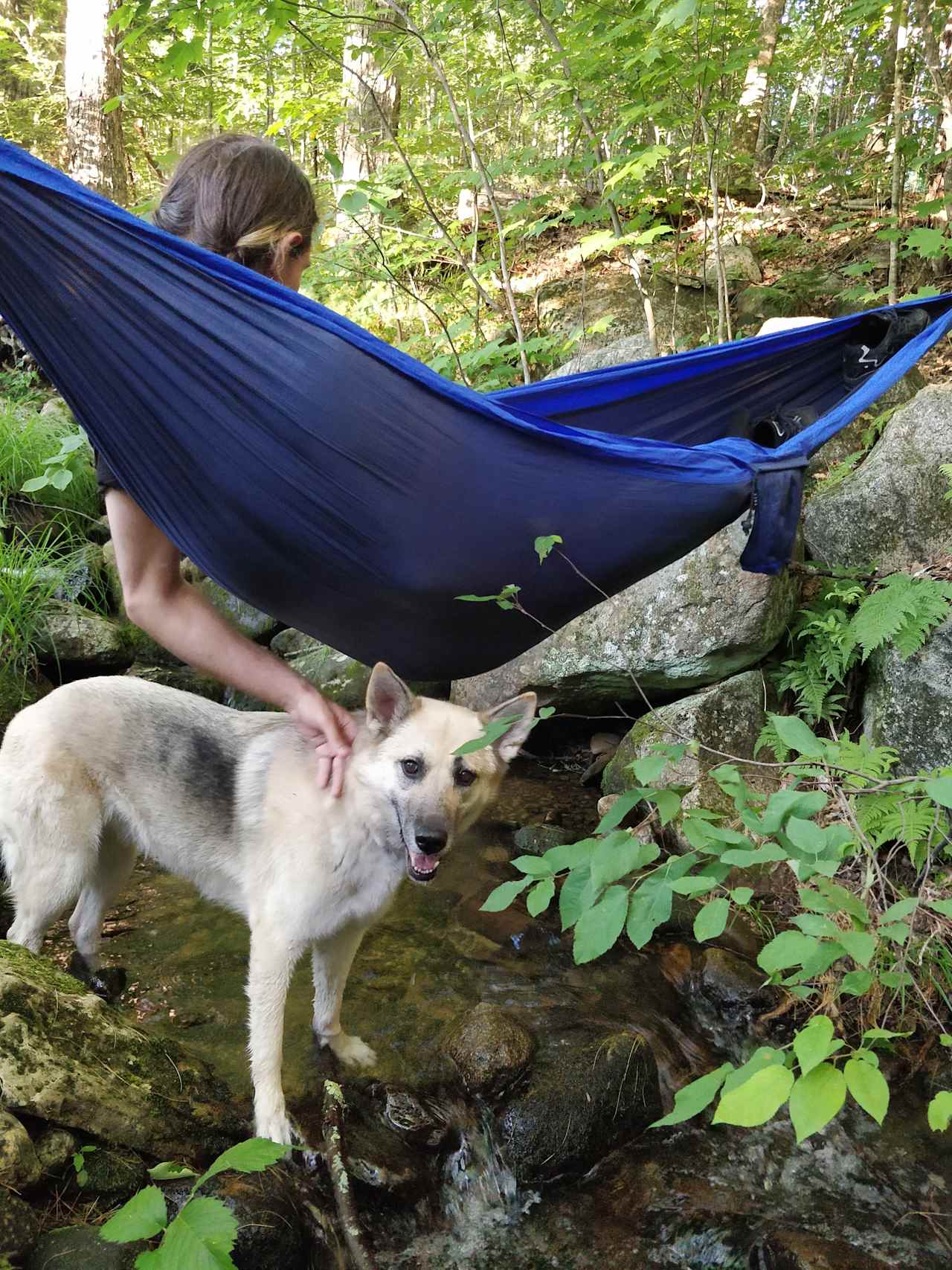 hammocks by the stream