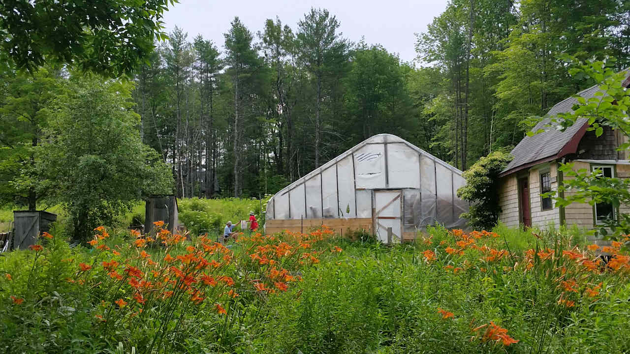 Outhouse, gardens, & firepit a short walk away.