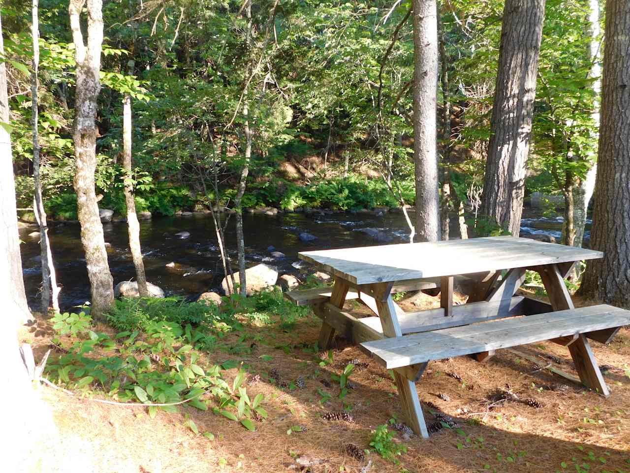 Picnic Table and View of Webb River on Lot 1