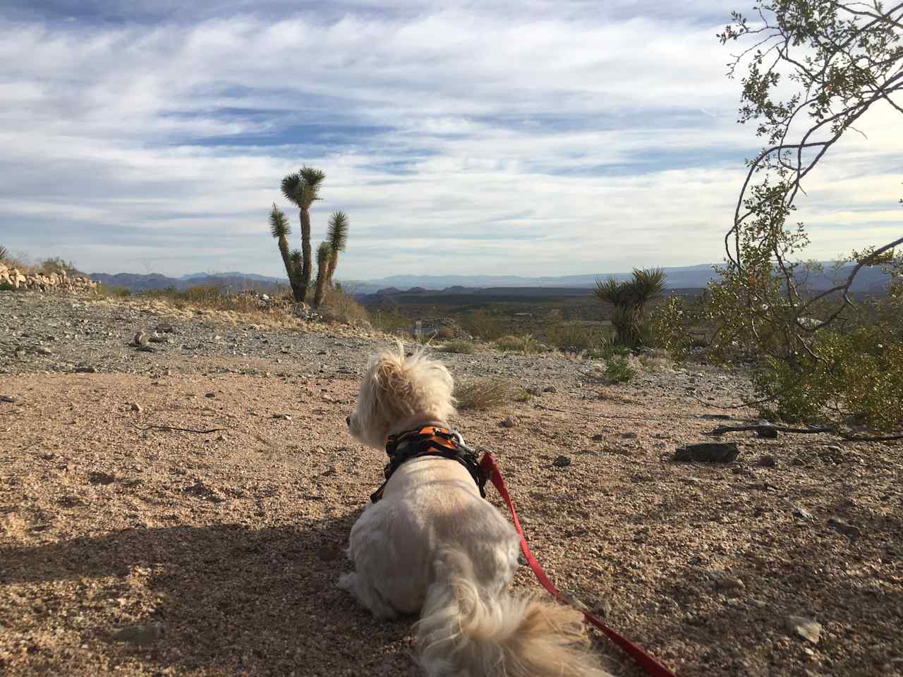 Lake Mead Overlook - Meadview