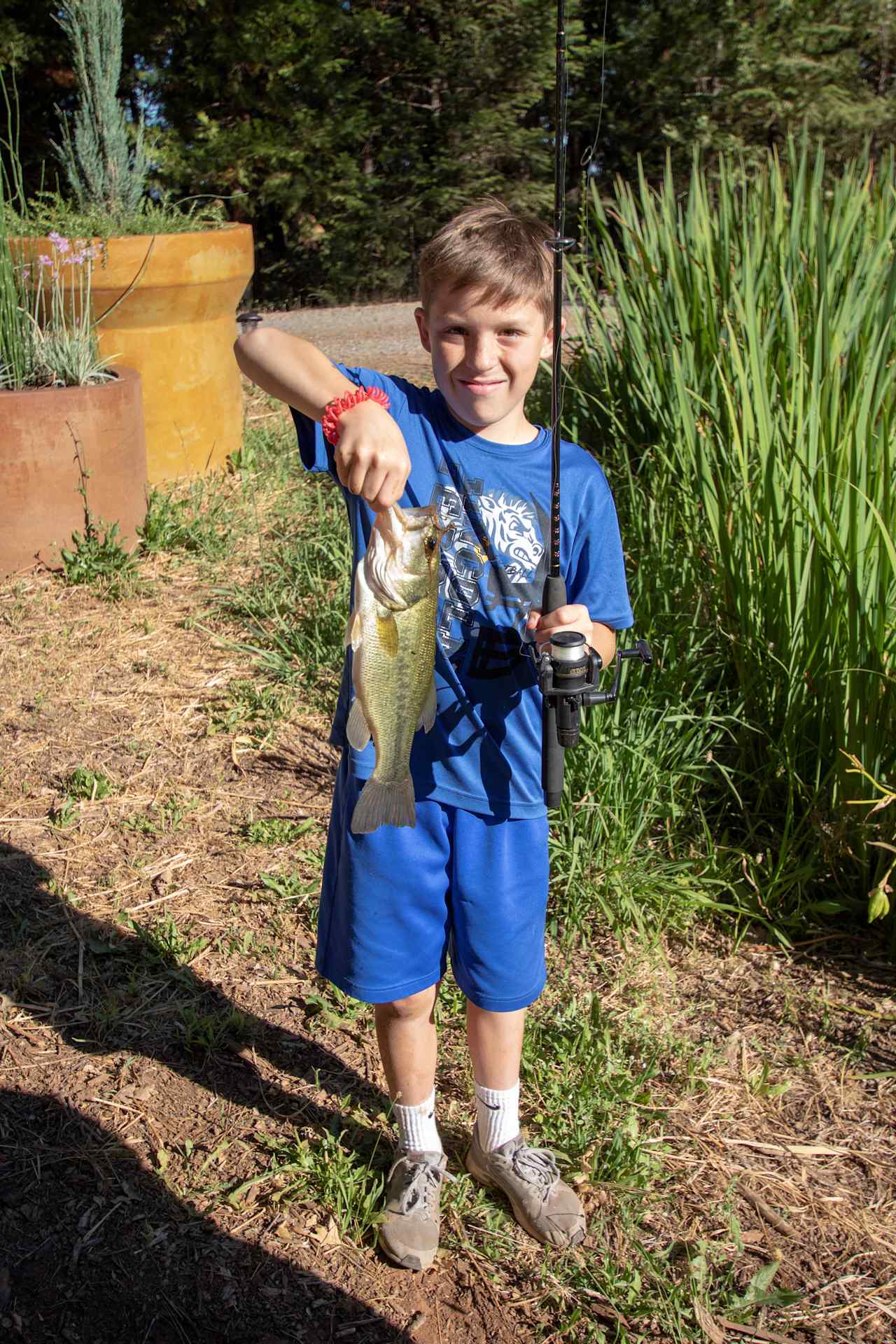 There are a few fish in the pond. Catch and release only.