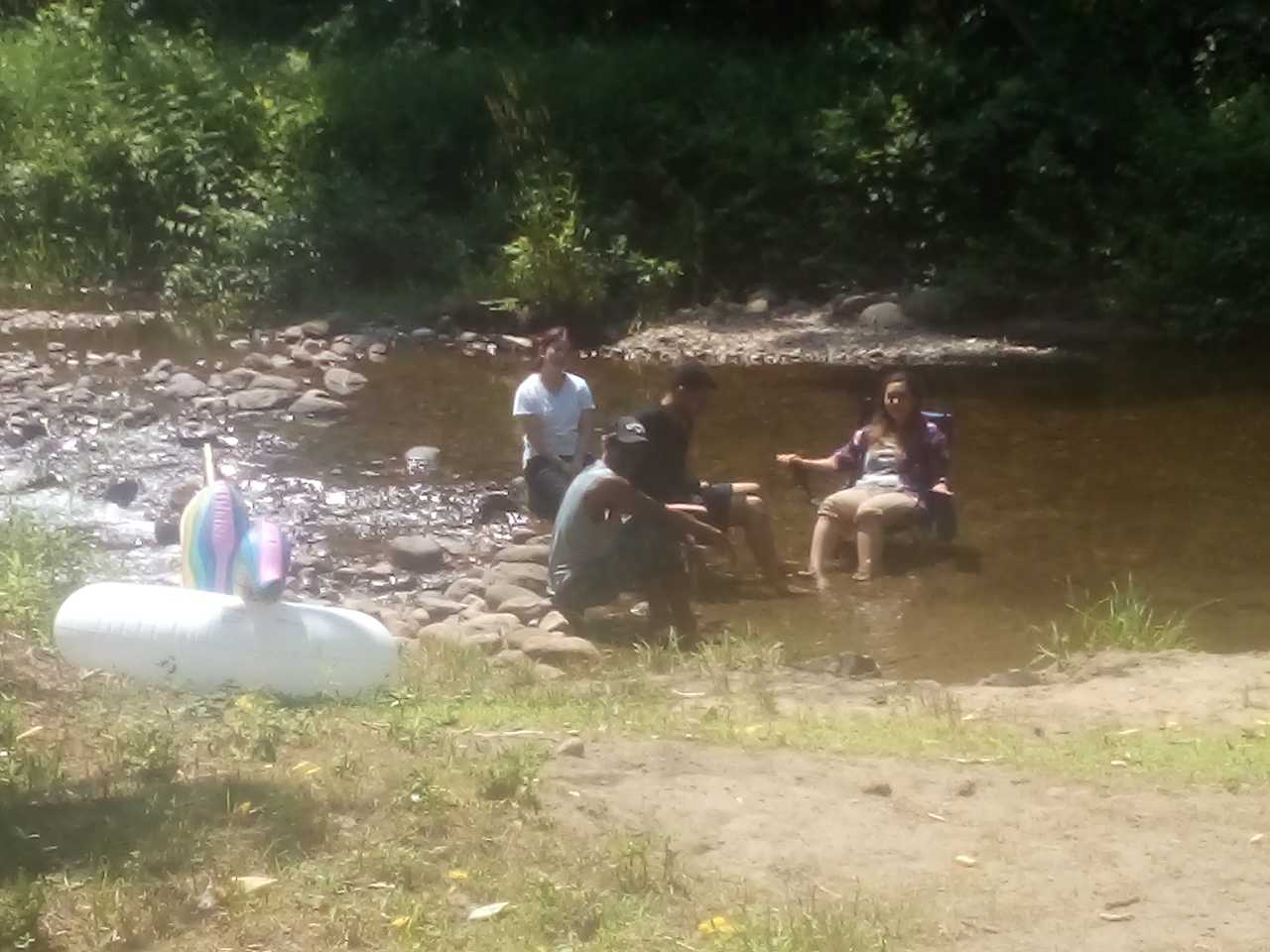 Cooling off in the creek.