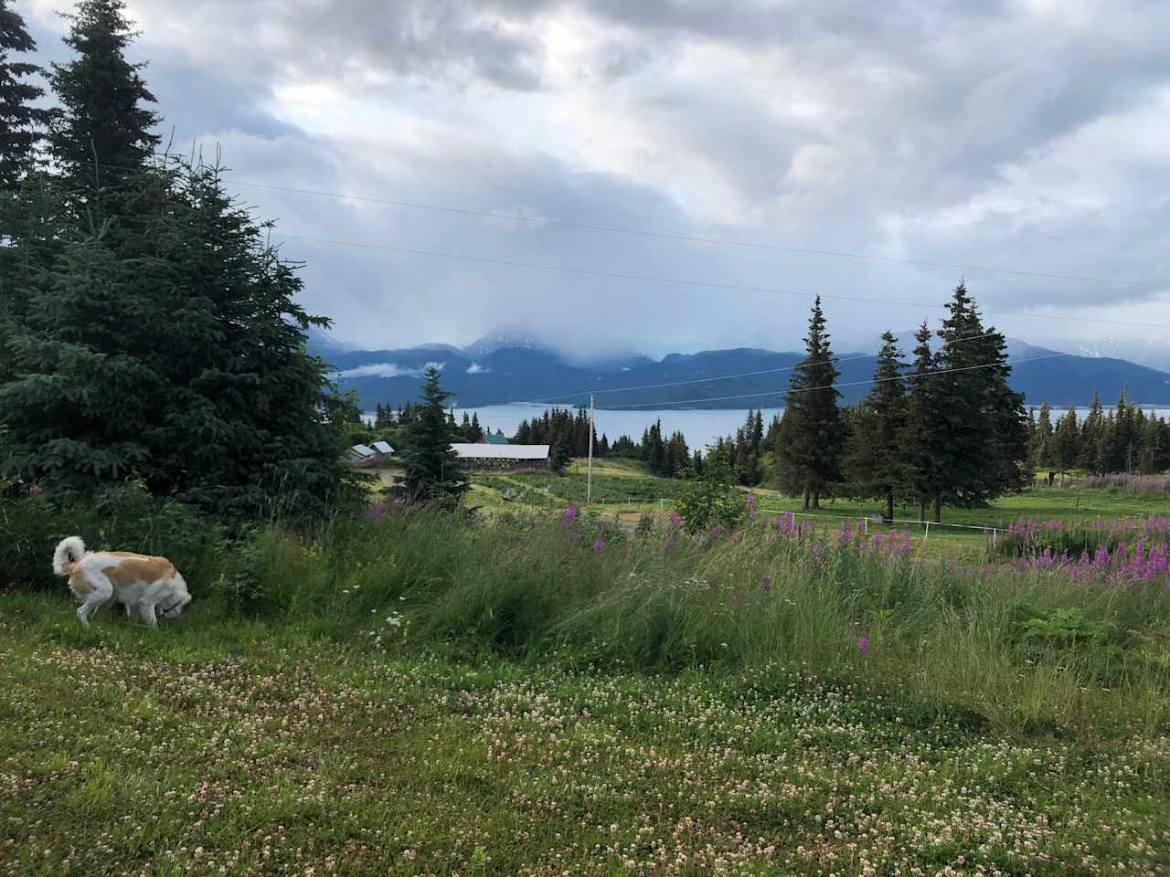 The view out from the tent .. looking toward k Bay and the glacier 