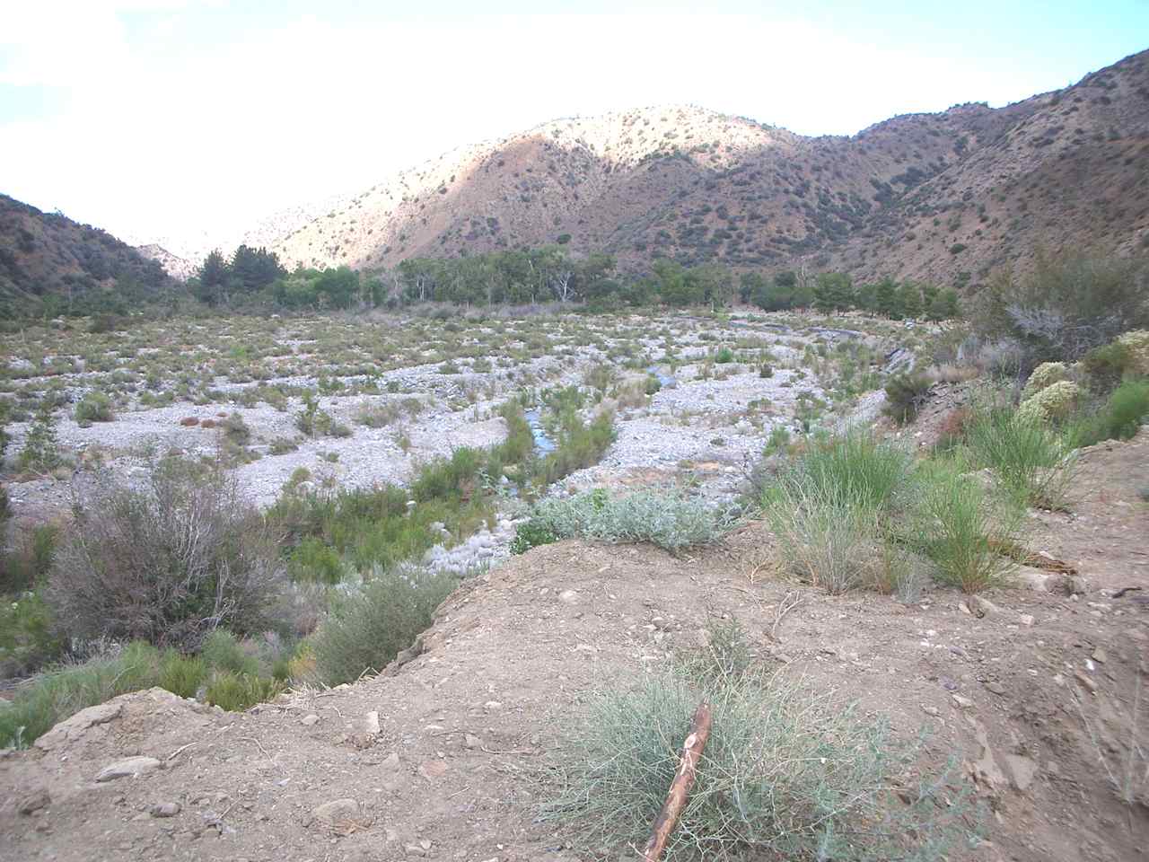 Overview of Sycamore Flats