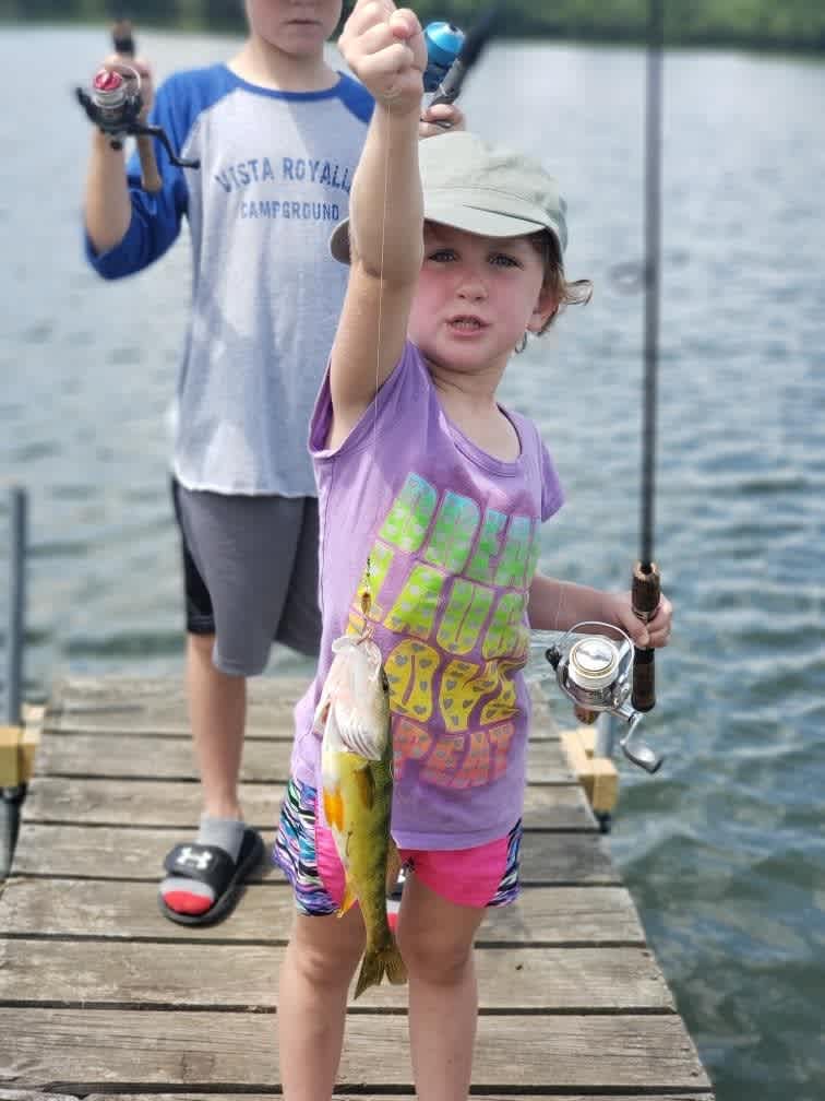 In 2018, we introduced Bass and Walleye into the pond as well. 