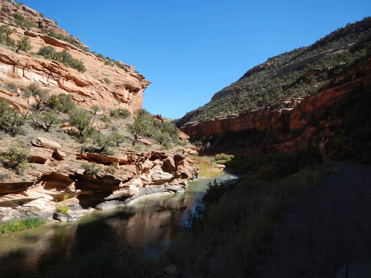 The San Miguel River. Remote and uncrowded, a 30 min drive from us.  