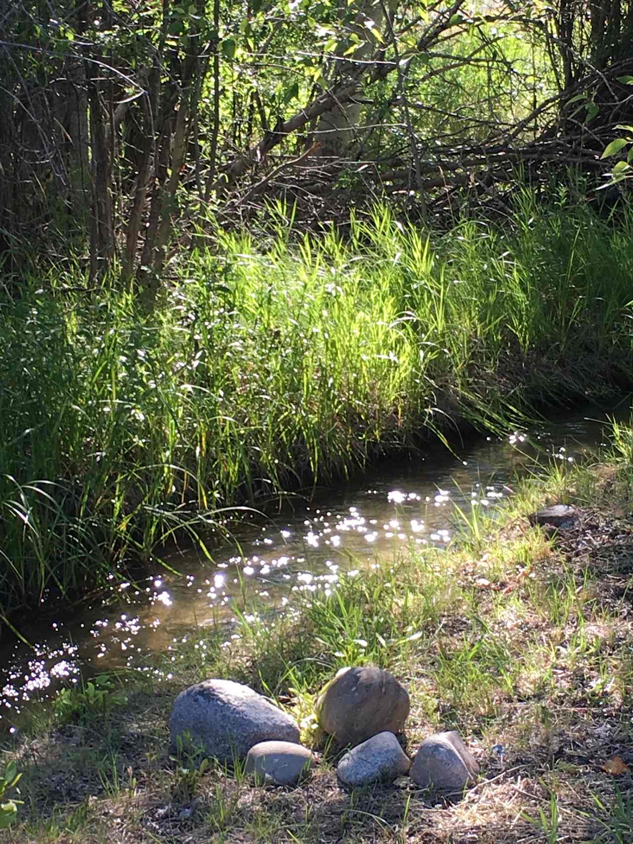 Nearby is the soothing sound of the gurgling stream.  Or feel free to soak your feet in the cool mountain water.