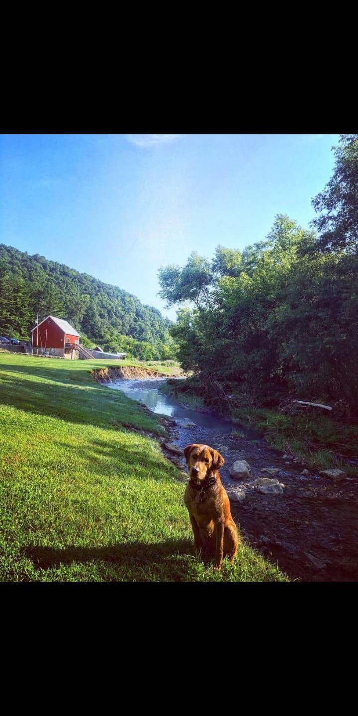 Ranch Retreat Camping