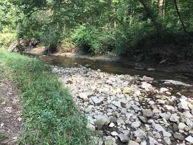 Creek bed by camp site
