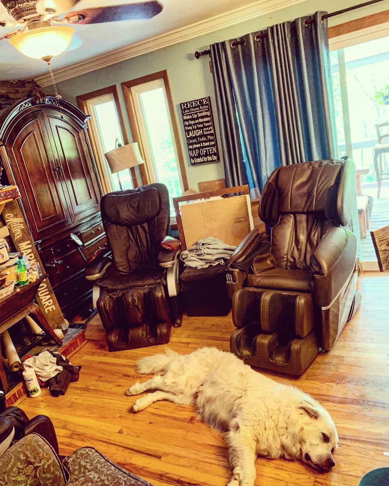 Great Pyrenees by the massage chairs